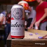 Budweiser Lager Beer, 10 Cans, 440ml Each
