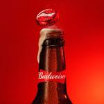 Budweiser Lager Beer Bottles, 15-Pack