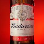 Budweiser Lager Beer Bottles, 15-Pack