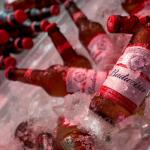 Budweiser Lager Beer Bottles, 15-Pack