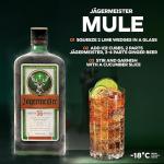 Jägermeister Herbal Liqueur - Ice Cold Shot 70cl