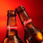 Budweiser Beer, 33 cl - 24 Pack