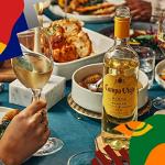Campo Viejo Rioja Blanco White Wine, 6 Bottles
