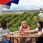 Campo Viejo Rioja Blanco White Wine, 6 Bottles