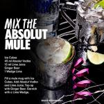 Absolut Original Swedish Vodka 1L Bottle