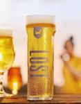 BrewDog Lost Lager 10-Pack, 440ml Cans