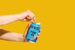 BrewDog Punk IPA 330ml Cans - 24 Pack