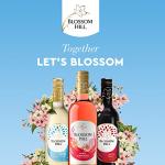 Blossom Hill White Wine - 75cl, Case of 6