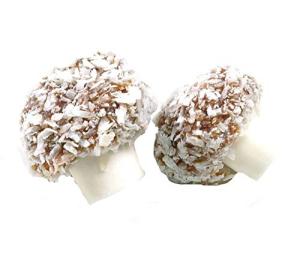 1 Kilo Bag of Coconut Mushrooms