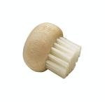 Wooden Mushroom Brush with Nylon Bristles, 5.5 cm