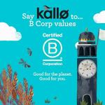 Kallo Vegan Lentil Cakes - Healthy Snack Treat