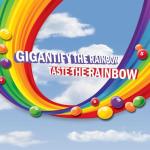 Skittles Giants Vegan Sweets, Fruit Flavoured Sharing Bag, Pouch 132g