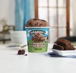 Ben & Jerry's Chocolate Fudge Brownie Ice Cream