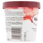 Häagen-Dazs Strawberries & Cream Ice Cream 460ml