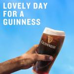 Guinness Draught Beer - 15 Pack, 440ml