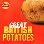 Walkers Ready Salted Crisps Multipack, 12 Bags