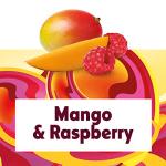 Häagen-Dazs Mango Raspberry Ice Cream 460ml