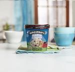 Ben & Jerry's Netflix & Chill'd Ice Cream