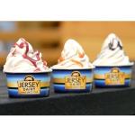 Jersey Dairy Gold Soft Serve Ice Cream Mix