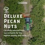 Chandra Whole Foods Pecan Nuts 1KG - Keto Snack