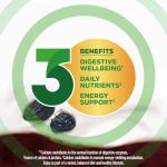 Activia Prune Yogurt Packs, 4 x 115g