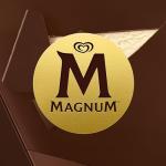 Magnum Mini Double Chocolate & Caramel Ice Cream Sticks
