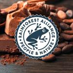 Magnum Mini Double Chocolate & Caramel Ice Cream Sticks