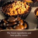 Lindt Selection Extra Fine Continental Chocolate Box Extra Large - 40 Assorted Milk, Dark and White Chocolates, 427g - Gift Present or Sharing Box - Birthday, Celebrations, Congratulations, Thank you