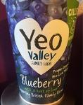 Yeo Valley Organic Blueberry Yoghurt, 450g
