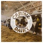 Ben & Jerry's Caramel Chew-Chew Ice Cream, 465ml (Frozen)