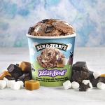 Ben & Jerry's Phish Food Ice Cream, 465ml (Frozen)