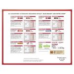 Nestlé Kitkat and Friends Big Biscuit Box | 69 x Chocolate Biscuit Bars - KitKat, Blue Riband, Toffee Crisp | Bulk Chocolate Box 1.357kg