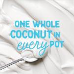 The Coconut Collab Natural Yoghurt, Thick & Creamy, No Added Sugar, Live Cultures, Vegan, Plant-Based, Dairy-Free 350g