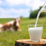 Lakeland Long-life Semi Skimmed UHT Milk, Calcium, High in Protein, 1L (Pack of 12, Total 12000ml)