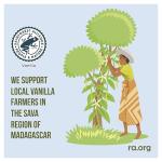 Carte D'Or Madagascan Vanilla Light Ice Cream Tub Dessert 900ml