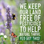 Yeo Valley Organic Whole Fresh Milk 1L