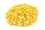 Popping Corn Kernels 3kg (BWFO)