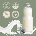 Coolinario Yoghurt Starter Culture (5-Pack, 1g Sachets) Live Cultures for Homemade Yogurt | Creamy, Thick & Delicious | Regular or Greek Yogurt | Non-GMO, No Preservatives, Gluten Free, Halal & Kosher