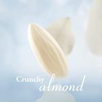 Ferrero Raffaello Pralines, White Chocolate Gift, Gifts for Christmas, Party Chocolate Box, Coconut, Crunchy Whole Almond and Smooth Cream, Box of 40 (400g)