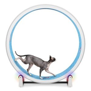 One Fast Cat - Cat Exercise Wheel - Gen. 7 - Safe 48" Diameter - Made in The USA - White Wheel with Koi Pond Foam Traction Pads and Light-Up LED Inline Wheels