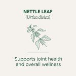 Organic Nettle Leaf Tea for Joint Health
