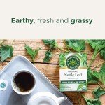 Organic Nettle Leaf Tea for Joint Health