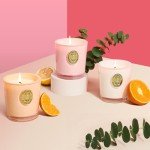 M&SENSE Luxury Colored 10.2 oz Soy Wax Candle | Jasmine Scented | 55 Hour Burn Home Scented|Candle Gift for Women and Men