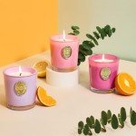 M&SENSE Luxury Colored 10.2 oz Soy Wax Candle | Peony Blush Scented | 55 Hour Burn for Home Scented|Candle Gift for Women and Men