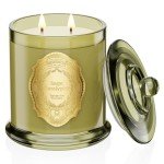M&SENSE Two Wicks Luxury 12.7oz Natural Soy Wax Candle,Sage Eucalyptus Scent,Elegant Home Fragrance for Him & Her