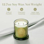 M&SENSE Two Wicks Luxury 12.7oz Natural Soy Wax Candle,Sage Eucalyptus Scent,Elegant Home Fragrance for Him & Her