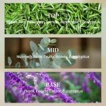 M&SENSE Two Wicks Luxury 12.7oz Natural Soy Wax Candle,Sage Eucalyptus Scent,Elegant Home Fragrance for Him & Her