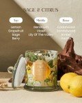 M&SENSE Candles Sage Citrus Scented, Natural Organic Soy Candle 12.7oz 75 Hour Long Lasting Slow Burning, Double Wick Aaesthetic Large Jar Candle Fresh Smelling for Bathroom Home