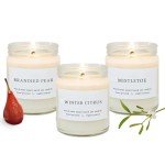 Wax & Wane Winter Scented Candle Set of 3-4oz Handmade Candles For Men and Women - Long Burning 25+ Hours Candles For Home, Bedroom, and Bathroom - 100% Natural Soy Candles Made in the USA