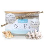 BB Candles Coastal Essentials Natural Soy Hand Poured Candle, Coral Reef, Fragrant Coastal Candle with Strong Scents, Artisan Candle, 4oz, 30+ Hours Burn Time